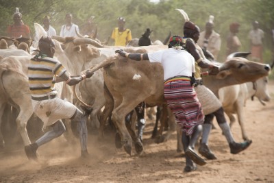 Jumping the Bull, Hammer Tribe, Lower Omo Vallery, Ethiopia, by Charlie Grosso