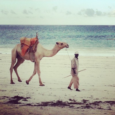 Man with Camel. Mombasa. Kenya. by Charlie Grosso