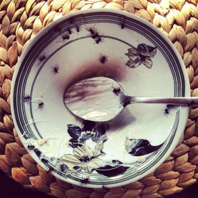 Ants with Breakfast. by Charlie Grosso